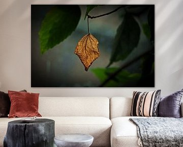Herbst
