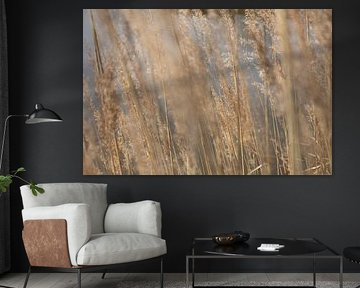 Waving reed plumes by Richard van de Kerkhof