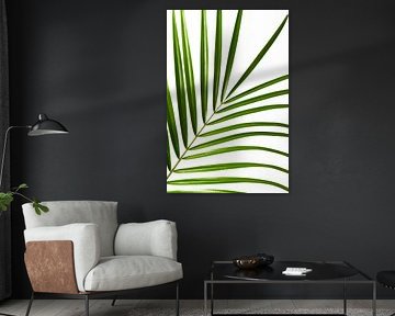 Palmblatt von Jim Plaum