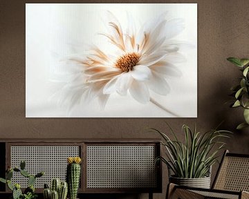 Delicate White no.5