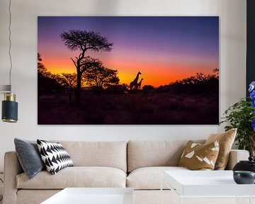 De zon gaat onder in de Kalahari woestijn, met silhouet van giraffes