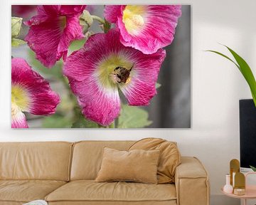 Hollyhock by Bo Valentino