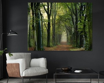 Avenue of Trees in the mist by Willemijn Wolthaus