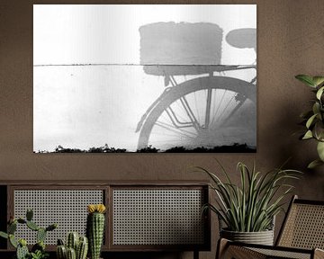 Le vélo, l'ombre et la ligne.