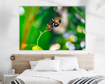 Entspannen Sie sich für eine Weile von Jeffrey Gorissen - JEGO Photography