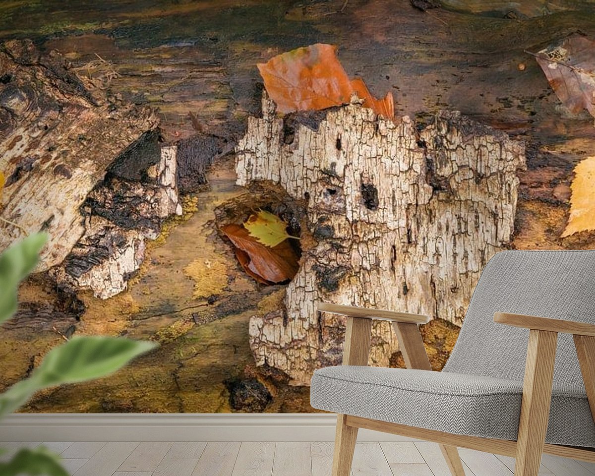 Raumvorschau