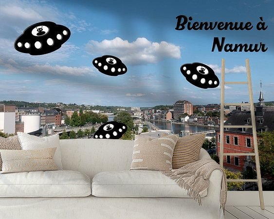 Aperçu de la chambre