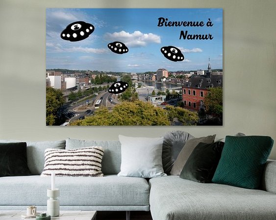 Aperçu de la chambre