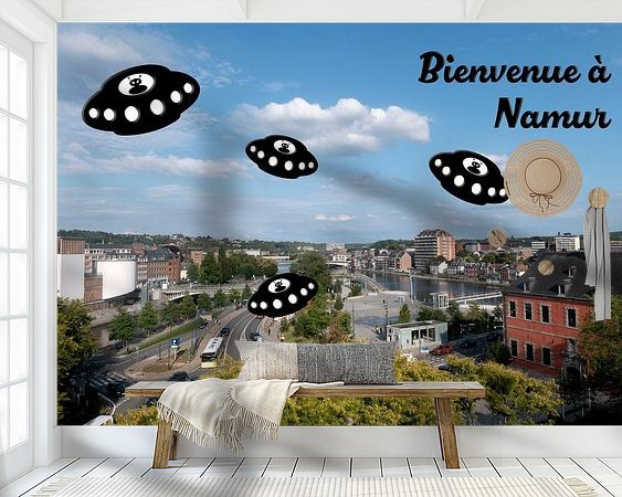 Aperçu de la chambre