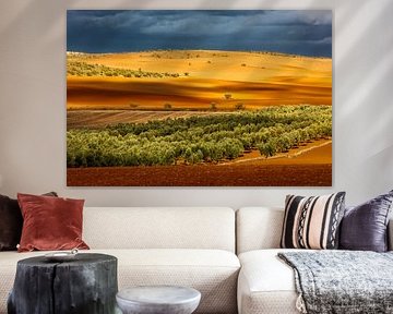 Wisselend licht in dit rode oranje, groene en rode landschap van Karin Broekhuijsen