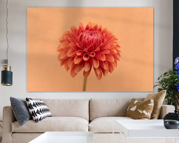 Love for dahlias's 7 by Cindy Mulder