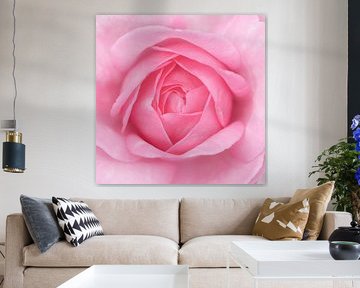 Roze roos van Cindy Mulder