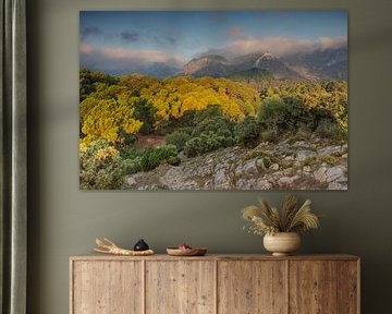 Berge in Südspanien, wo die tiefstehende Sonne auf sie scheint von Karin Broekhuijsen