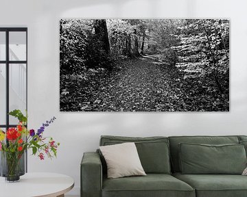 Forest with forest path covered with autumn leaves in black and white by Jose Lok