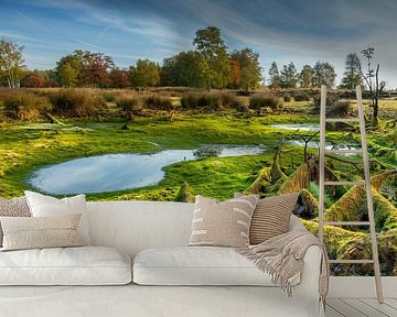 fast trockener Torfteich; fast trockener Torfteich