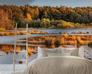 Dwingelderveld im Herbst