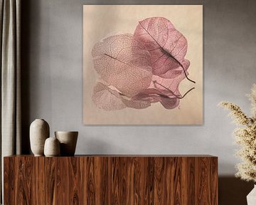 Fragiel samen: Twee blaadjes van de Bougainvillea van Marjolijn van den Berg