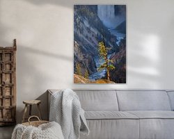 Raumvorschau