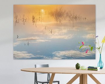 reflection, water, sun reeds by Karin Broekhuijsen