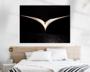 Book Gull by Nuran Varli