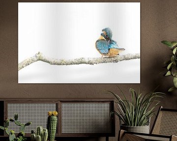 Kingfisher high key by Marc van der Duin