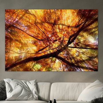 The sun breaks through into the forest