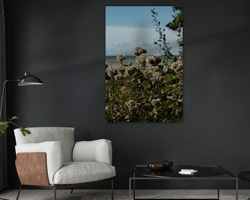 Flowers on the Brabant shore near Bergen op Zoom by Loes Uijtdehaag