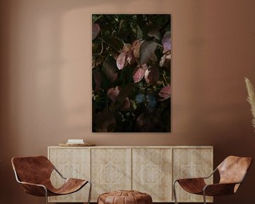 Red coloured leaves by Loes Uijtdehaag