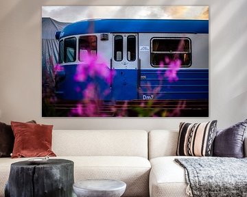 Autorail vintage bleu et blanc avec bokeh de fleurs roses | photographie ferroviaire à l’heure dorée sur Brave Toaster Photos