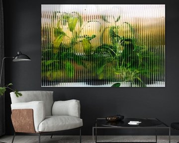 Serre derrière verre cannelé – herbes au doux éclat doré | art botanique minimaliste sur Brave Toaster Photos