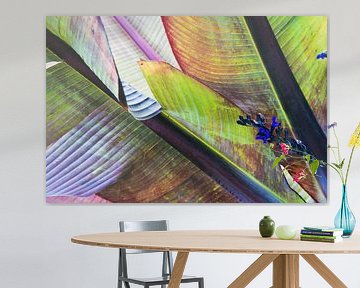 Betoverende, herfstige compositie van bananenbladeren