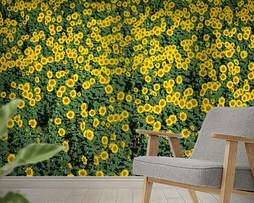 Blühende Sonnenblumen in der Provence an einem Sommertag von Sjoerd van der Wal Fotografie