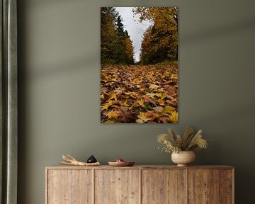 In the forest in autumn by Claude Laprise