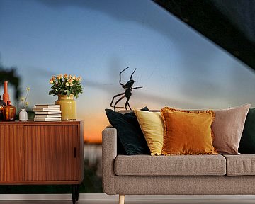 Spinne im Netz bei Sonnenuntergang, 't Roegwold