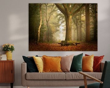 Bank im Korteweg-Wald - herbstliche Stille