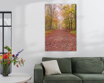 Herbstfarben im Wald von Jan Poppe