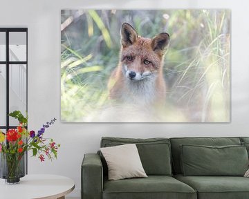 Roter Fuchs von Ronald van Emmerik