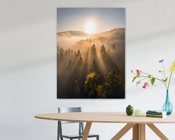 Zonnestralen en nevel boven de herfstige bossen . Zonnestralen en nevel boven de herfstige bossen