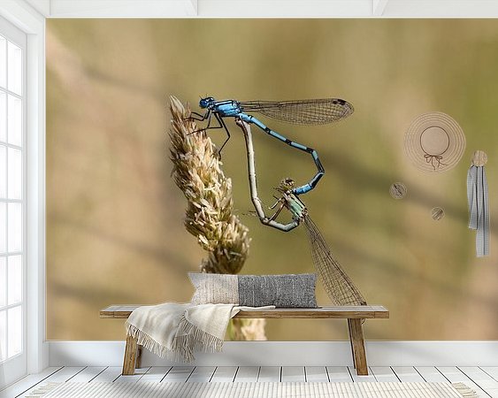 Voorbeeld van het werk in een kamer