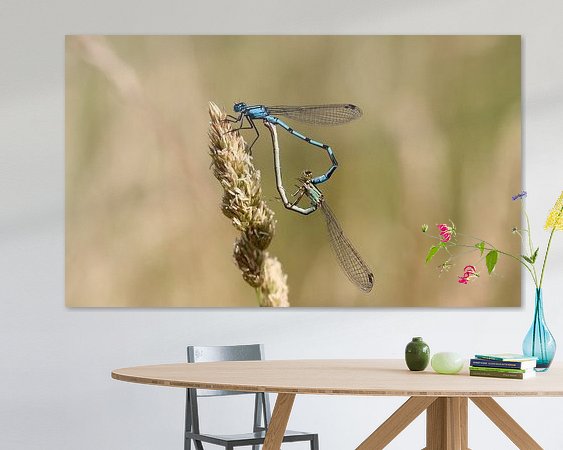 Voorbeeld van het werk in een kamer