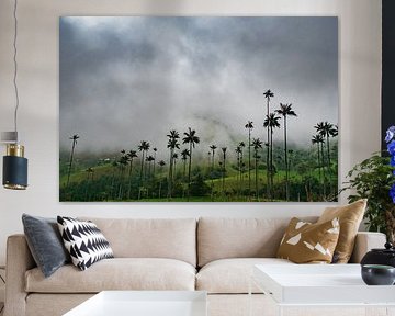 Palmenlandschaft im Cocora-Tal von NZME Photography