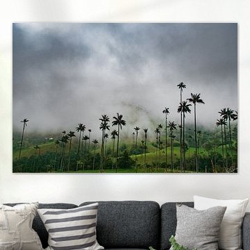 Palmenlandschaft im Cocora-Tal