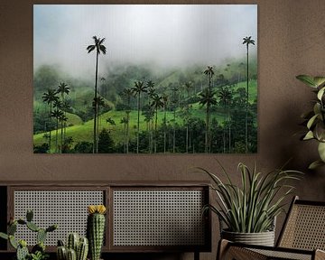 Wachspalmen im Nebel von NZME Photography