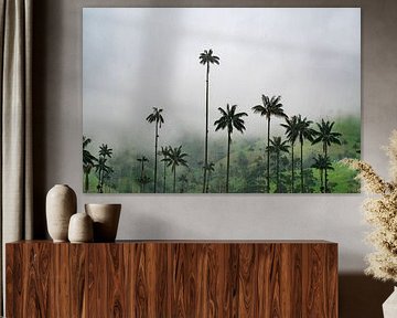Nebel über dem Cocora-Tal von NZME Photography