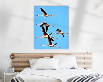 a flock of flamingos in flight by Werner Lehmann