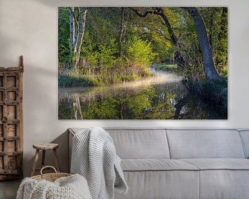 Reest valley, De Reest, river by Karin Broekhuijsen