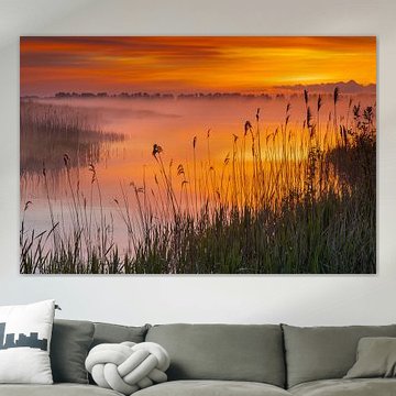 Een landschap van het ochtendrood en  water, in het Hunzedal, riet op de voorgrond en gedurende  dageraad