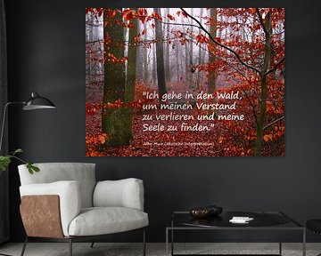 In het bos van mimone art