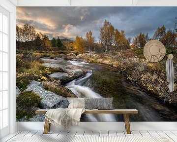 Hovringen in de herfst