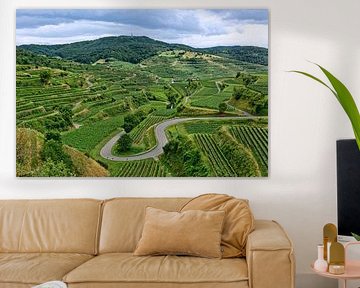 Kaiserstuhl - la plus belle vue sur le vin sur Gisela Scheffbuch